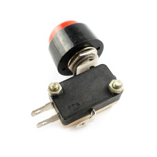 Microswitch, 1-position, panel, ON-(ON), 250V 10A Red