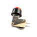 Microswitch, 1-position, panel, ON-(ON), 250V 10A Red